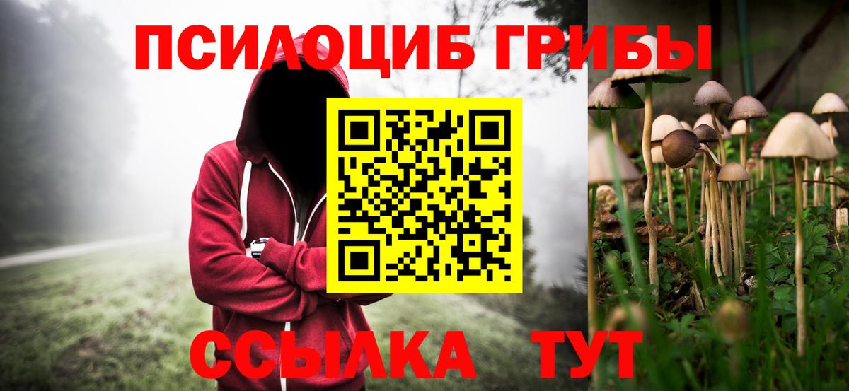 Псилоцибиновые грибы прущие грибы Семилуки